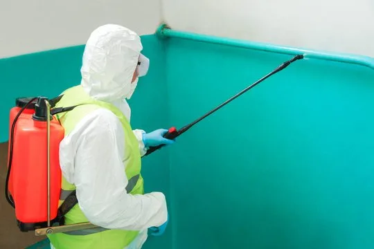 Απεντομώσεις Απολυμάνσεις